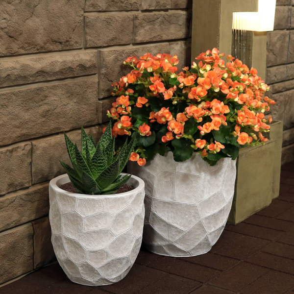 Wrought Studio Cassette 2Piece Fiber Clay Pot Planter Set Wayfair